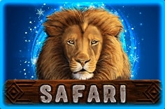 Safari